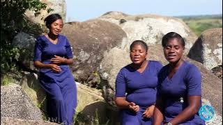 Baama Bangu - Soothing Chronicles ( Produced By @DSPRoMediaRecords