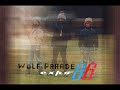 Wolf Parade - Cloud Shadow on the Mountain