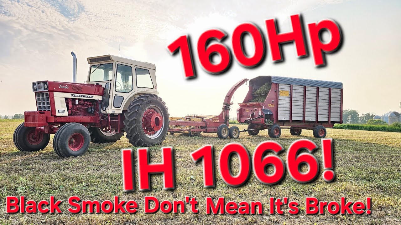 Chopping Alfalfa With The LEGENDARY IH 1066!