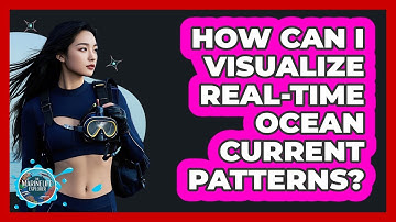 How Can I Visualize Real-time Ocean Current Patterns? - The Marine Life Explorer