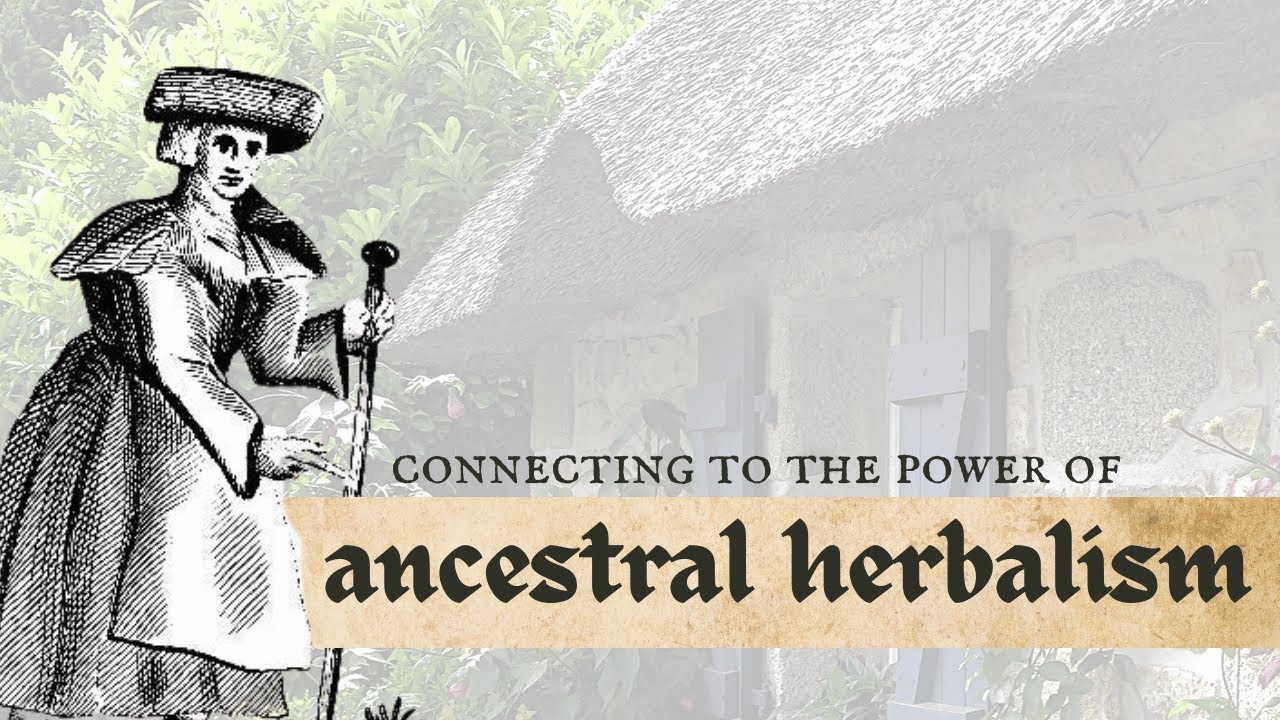 Ancestral Herbalism | Connecting to the Power of the Herbwise