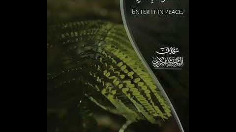 Raad Mohammed al kurdi رعد محمد الكردي سورة (ق)