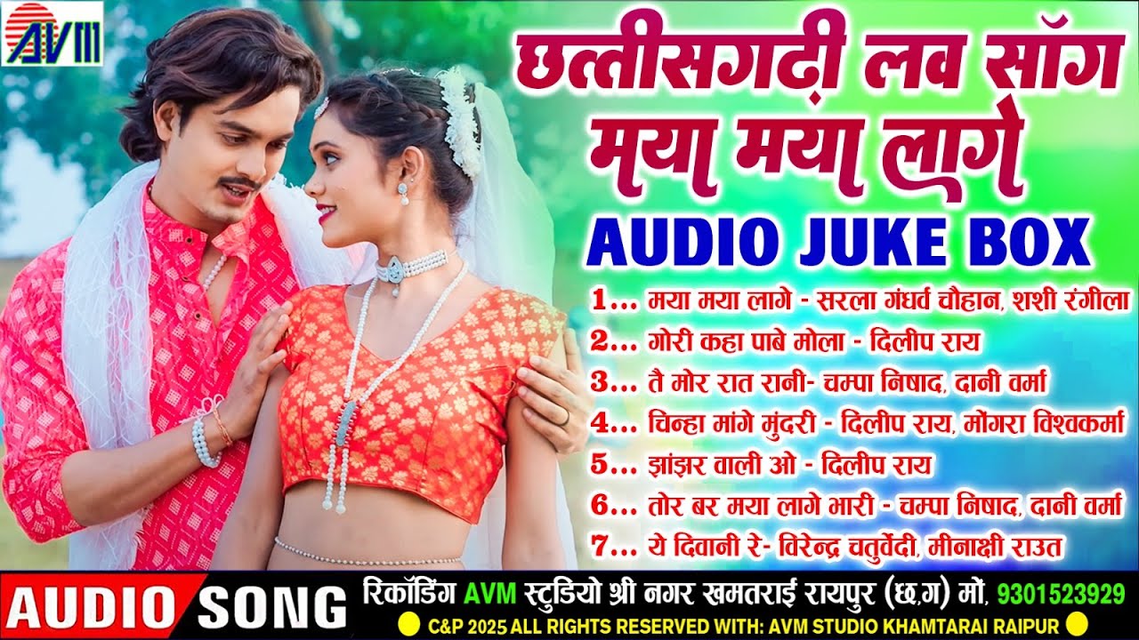 Maya Maya Lage | Audio Jukebox | Cg Song | Chhattisgarhi Love Song | Nonstop Mp3 Song | AVM TADKA