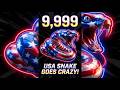 Snake Lite Live 🐍 | Road to 10,000 Score!