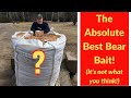 The Absolute Best Bear Bait In Bear Hunting The Absolute Best Bear Bait In Bear Hunting