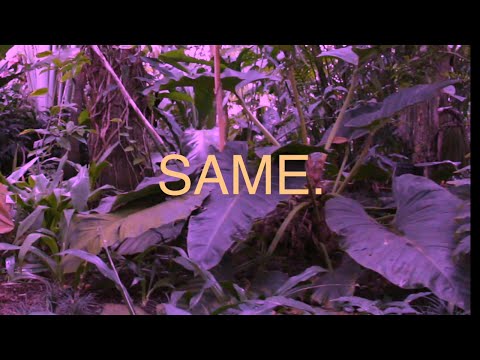 Same