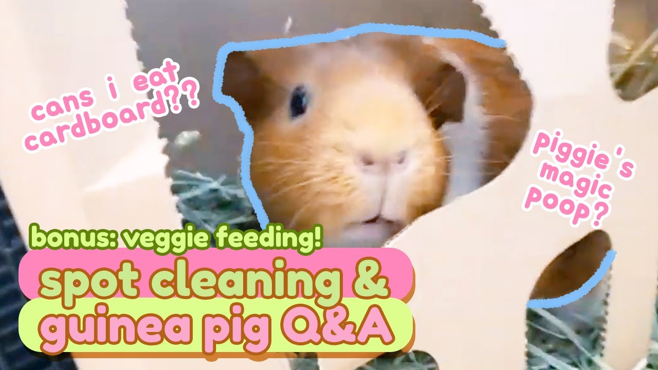 how to wash guineadad fleece