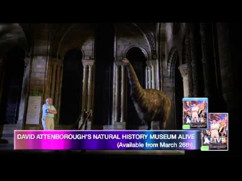 David Attenborough Natural History Museum Alive Dvd David Attenborough Natural History Museum Alive Dvd