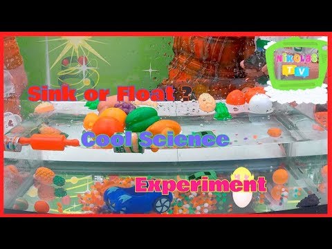 Sink or Float ? Cool Science Experiment for Kids  4K Full HD 2019 With Nikolas TV