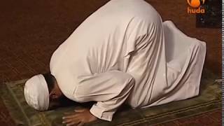 The Prophet's Prayer  Episode 8( Common Errors in the Prayer) Dr Mohamed Salah