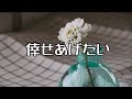 倖せあげたい カラオケ歌唱:もっこす