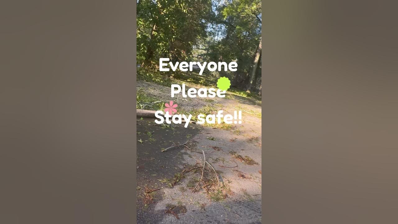 Greenwood south carolina hurricane helene damage 2024 greenwoodsc 