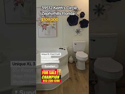 39512 Keith's Cir, Zephyrhills, FL home video tour