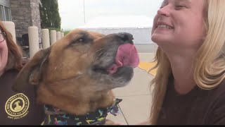Belmont County Animal Shelter visits Ferguson's House of Furniture