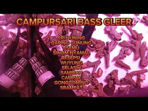 SRI HUNING || LANGGAM CAMPURSARI BASS GLEERR || CAPING GUNUNG