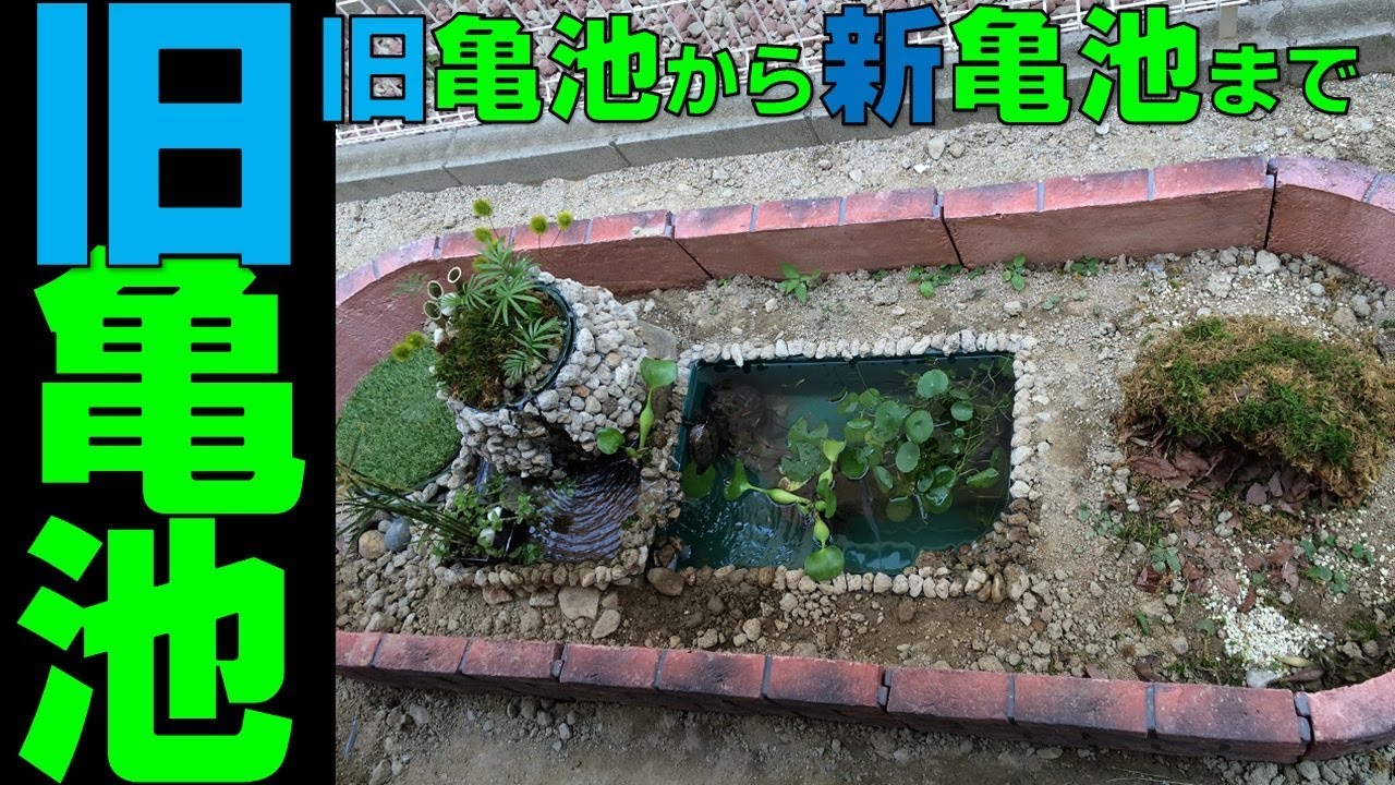 旧亀池】過去の亀池紹介【新亀池】 - YouTube