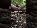 Starting a fire with a hand drill #primitivefirelighting #bushcraft