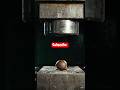 "Can a seed survive a hydraulic press? 😳🌱"