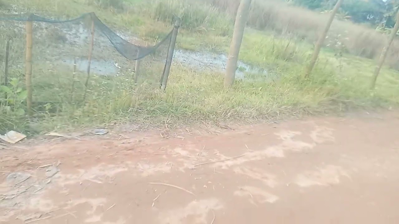 বিক্রয় হবে বানিজ্য মেলার পিছনে  :- থানা :রুপগঞ্জ ,  সেক্টর ২১ রাস্তা পাইছে জমি: পরিমান ২৩ শতক