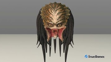 FREE Download  "PREDATOR HUNTING GROUNDS" 3D Models and Animations, .FBX Preview #4