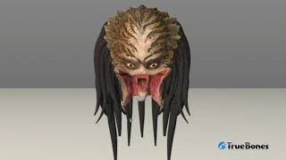 FREE Download "PREDATOR HUNTING GROUNDS" 3D Models and Animations, .FBX Preview #4