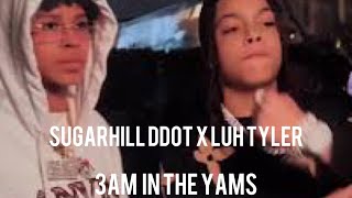Sugarhill ddot X Luh Tyler - 3am in the Yams(unreleased)