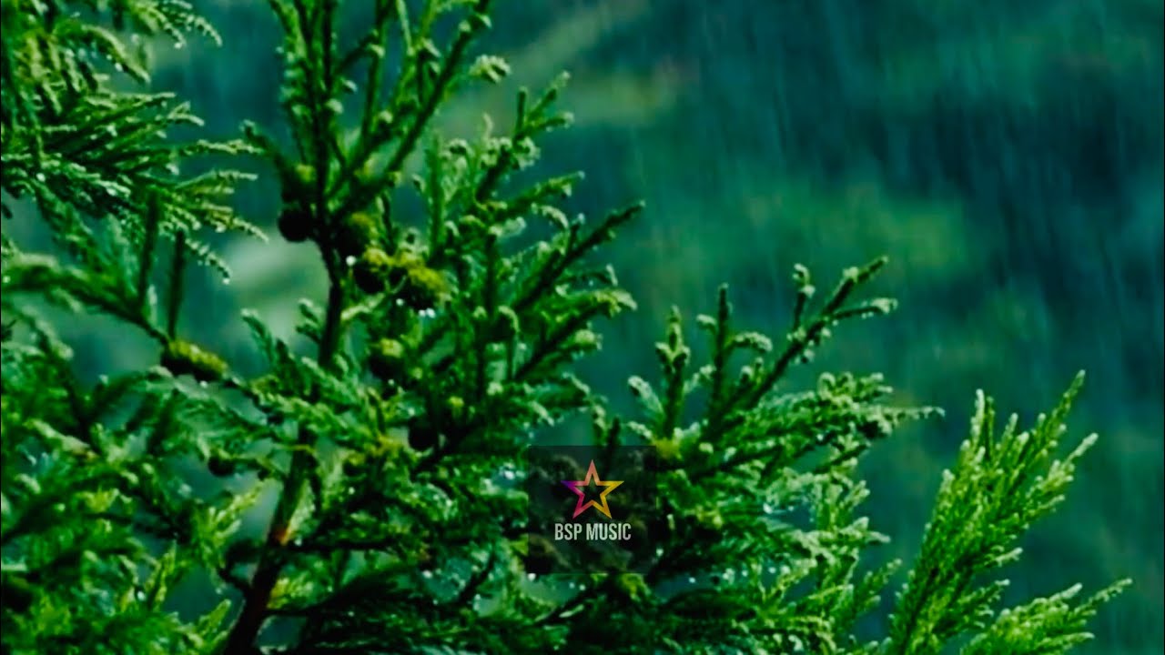 BSP Music - Rain | Дождь