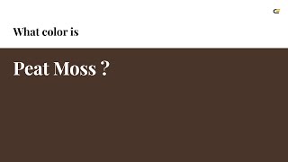 Peat Moss color #4a352b hex color - Brown color - Cool color 4a352b