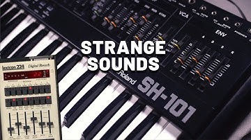Strange Sounds with Roland SH-101 | Vintage Analog Synth (No Talking)