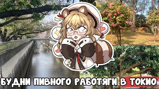 видео: Почему в Японии это так кринжово.... | НиппонБлог #1 картинка: Почему в Японии это так кринжово.... | НиппонБлог #1