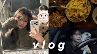 갓스물의 1월 요모조모,, 🧩💛 | 07년생 브이로그