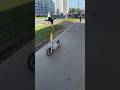 База про самокатчиков #кикшеринг #электросамокаты #питер