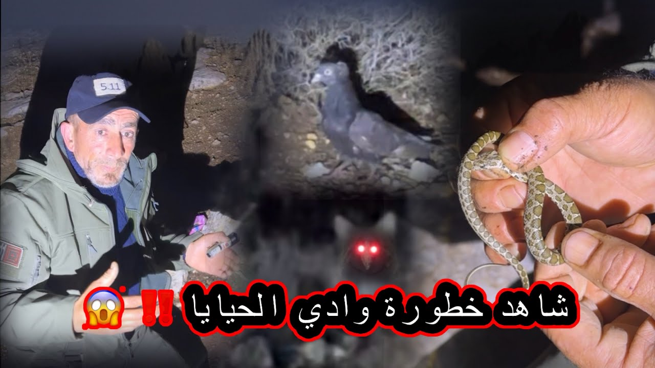 ‏شاهد خطورة وادي الحيايا ‼️ 😱