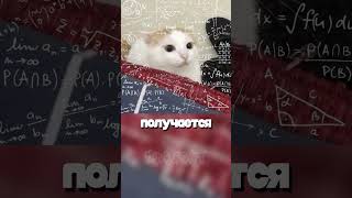 Сколько весит дом