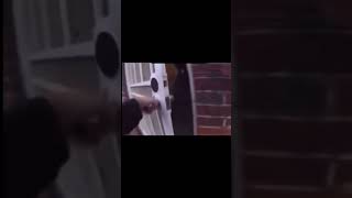 Famous 💨 Man Runs From Police & JUMPS THROUGH TWO WINDOWS—Even the Cop Couldn’t Believe It 🤯💀 Net Worth