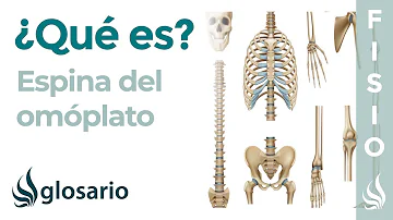 ¿Qué es el dolor ardiente entre los omóplatos?