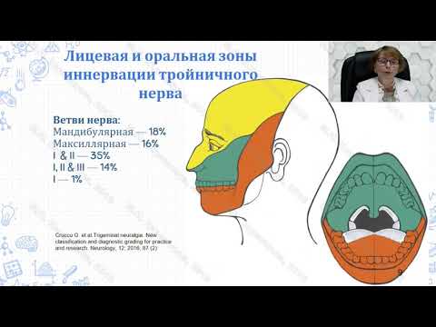 Невролог Корешкина М.И.:   Лицевые боли