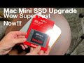 Upgrade The 2014 Mac Mini To Super Fast SSD