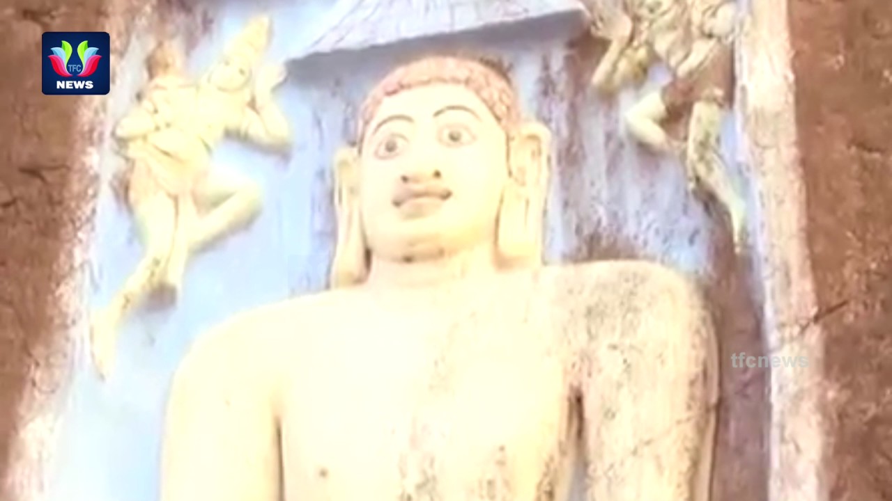 Warangal Collector Amrapali Visit Kakatiya Forts | MLA Vinaya Bhaskar | TFC News