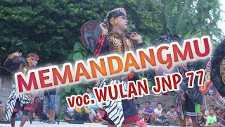 MEMANDANGMU // Cover ROGO SAMBOYO PUTRO Voc. Wulan JNP