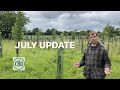 July update