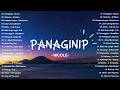 New OPM Love Playlist 2026 Philippines Top Songs Tagalog Hits Panaginip Nicole Tahanan