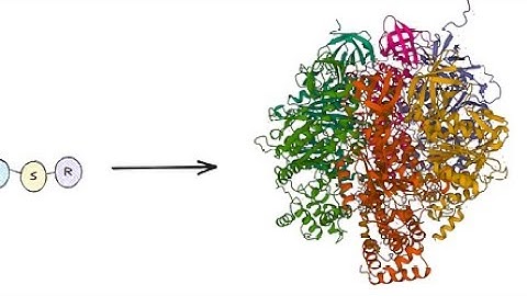 How I used ColabFold to predict protein structures