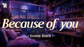 Kodak Black - Because of you | Lyrics