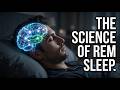 REM Sleep Explained: What Happens in Your Brain?