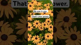 No one is you. That’s your power. #shortfeed #ytshorts #trending #content #viral #create #creatingzo