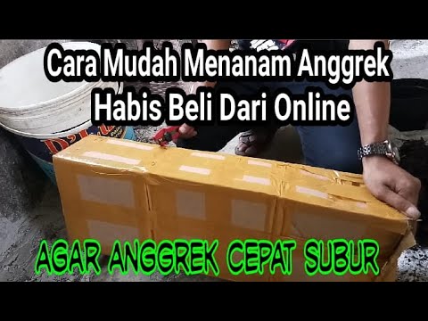 Video: Cara merawat anggrek di rumah setelah pembelian