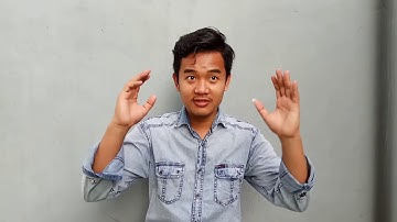 Psycholinguistic - Explaining Second Language Learning