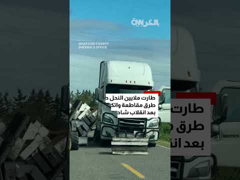 استدعاء المختصين لموقع الحادث... ملايين النحل تهرب من شاحنة بعد انقلابها في واشنطن