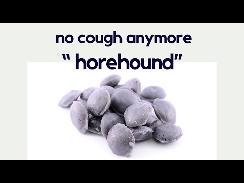 What is Horehound